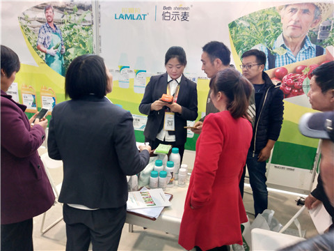 楊凌農(nóng)高會,拉姆拉 楊凌農(nóng)高會,拉姆拉