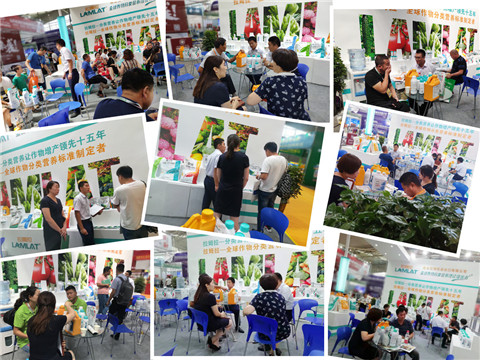 新疆，植保會(huì)，拉姆拉，翠姆，伯示麥