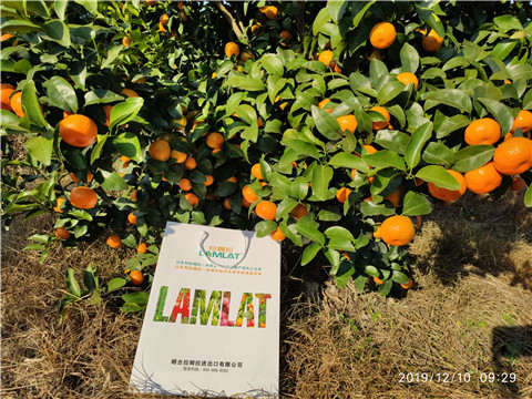 沖施肥，拉姆拉