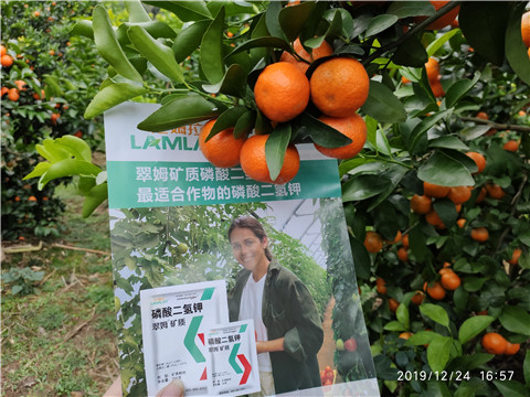 磷酸二氫鉀，葉面肥