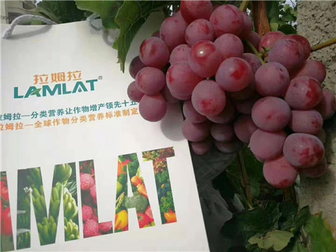 葉面肥，微生物菌劑