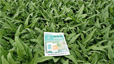 葉面肥，磷酸二氫鉀