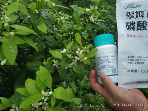 水溶肥，根碧多