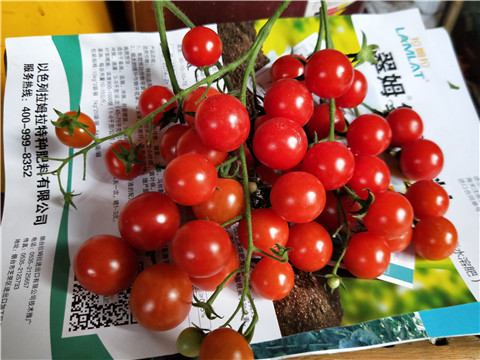 磷酸二氫鉀，鈣肥，根碧多