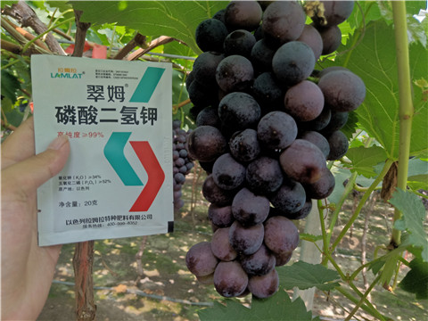 磷酸二氫鉀，葉面肥