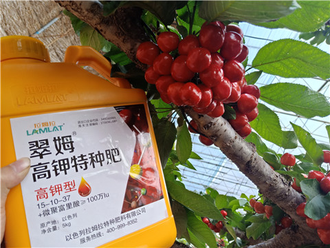 水溶肥，根碧多