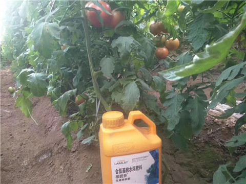 根碧多，微生物菌劑