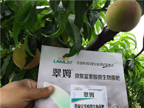 根碧多，微生物菌劑