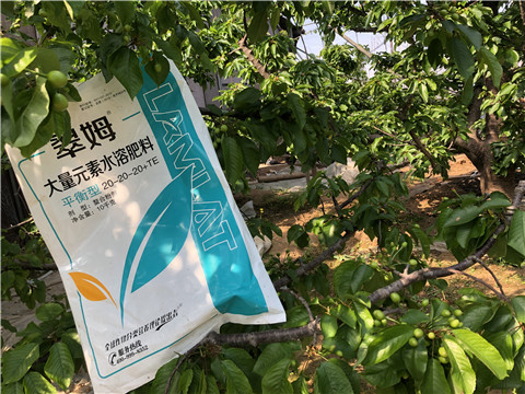 大量元素水溶肥，磷酸二氫鉀，硼肥