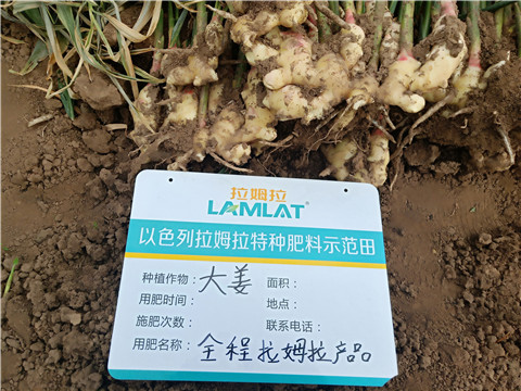 水溶肥，微生物菌劑，拉姆拉