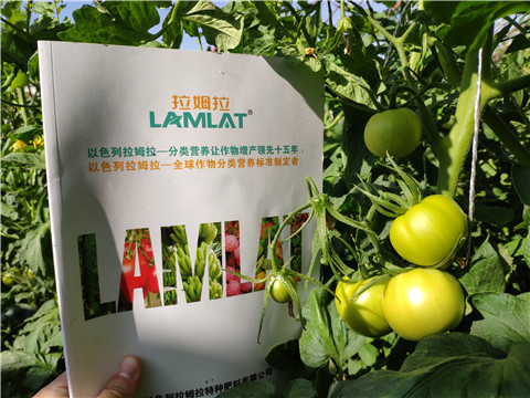 微生物菌劑，拉姆拉，伯示麥