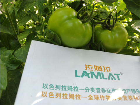 微生物菌劑，拉姆拉，伯示麥