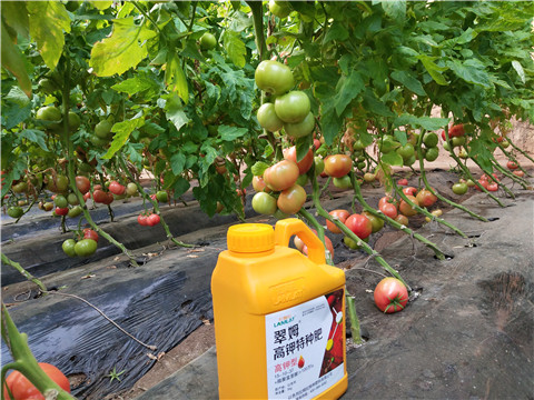 水溶肥，磷酸二氫鉀