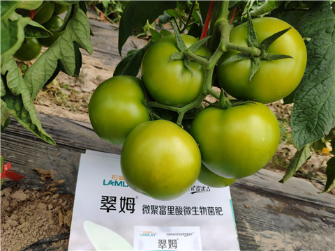 葉面肥，微生物菌劑，磷酸二氫鉀