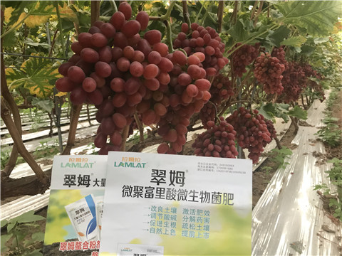 微生物菌劑，硼肥，鈣肥