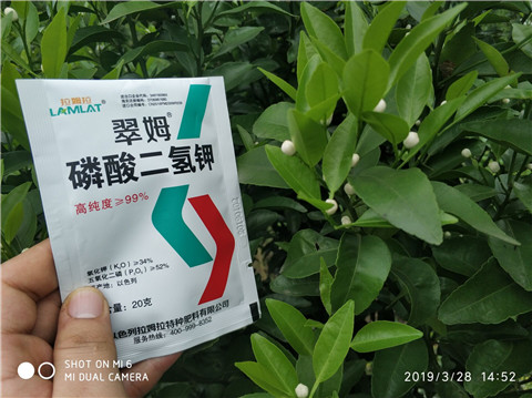 磷酸二氫鉀，硼肥，拉姆拉