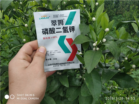 磷酸二氫鉀，硼肥，拉姆拉