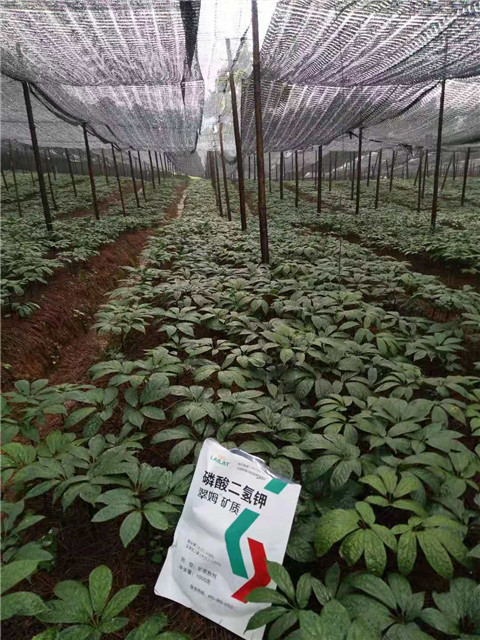 磷酸二氫鉀，安碧解，