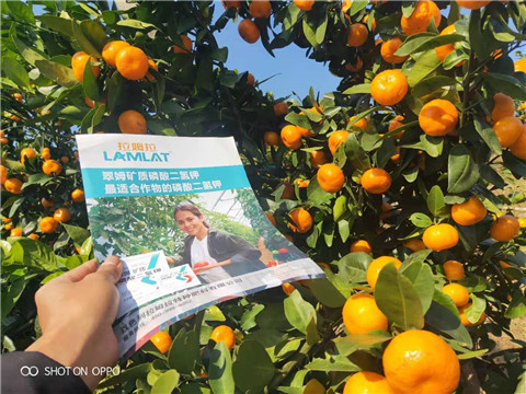 磷酸二氫鉀，硼肥，拉姆拉