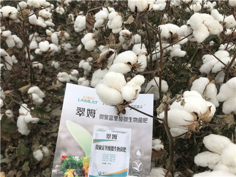 微生物菌劑，根碧多，拉姆拉