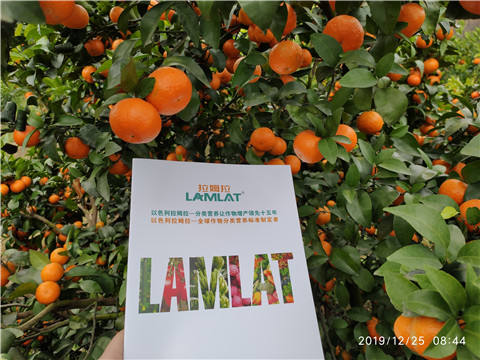 硼肥，拉姆拉