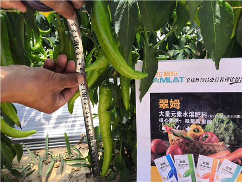 水溶肥，拉姆拉