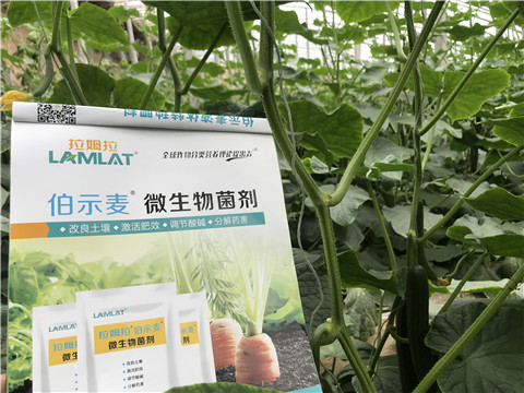 微生物菌劑，生根劑，拉姆拉
