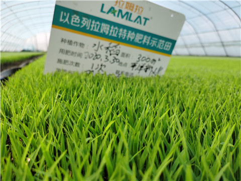 微生物菌劑，拉姆拉