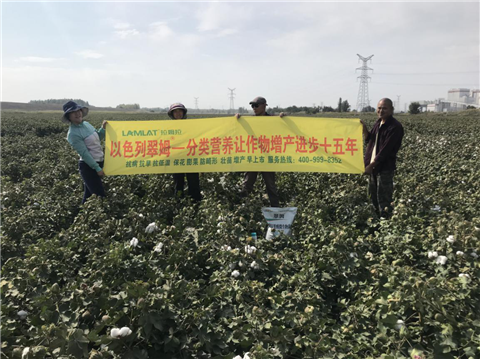 葉面肥，拉姆拉