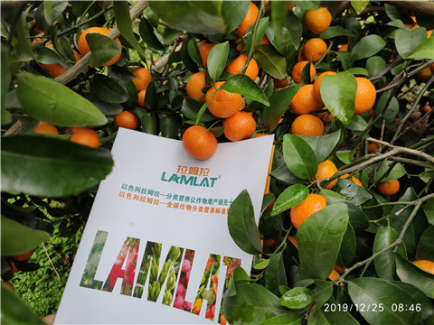 大量元素水溶肥，拉姆拉