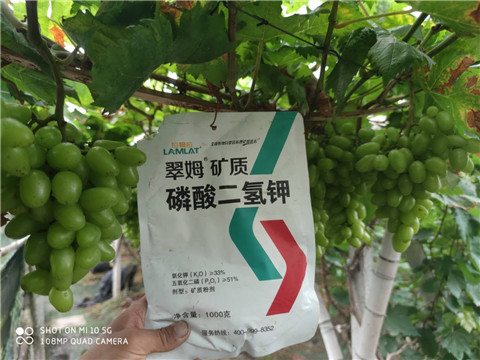 磷酸二氫鉀，拉姆拉