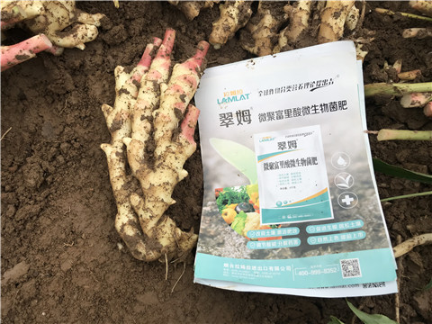 微生物菌劑，翠姆，拉姆拉