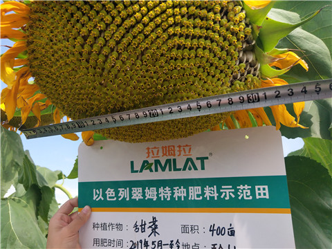 水溶肥，微生物菌劑，拉姆拉