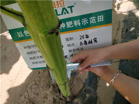 水溶肥，微生物菌劑，拉姆拉