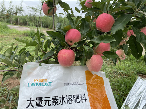 水溶肥，翠姆，拉姆拉