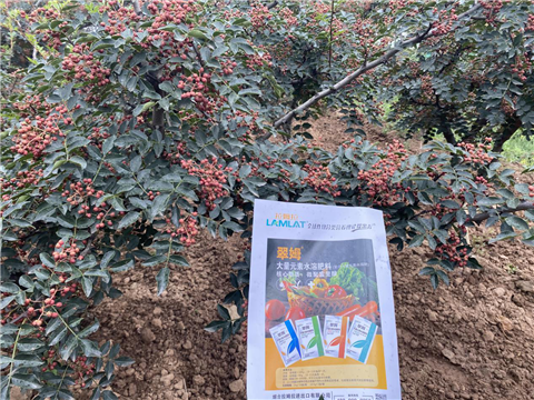 花椒種植，大量元素水溶肥，翠姆