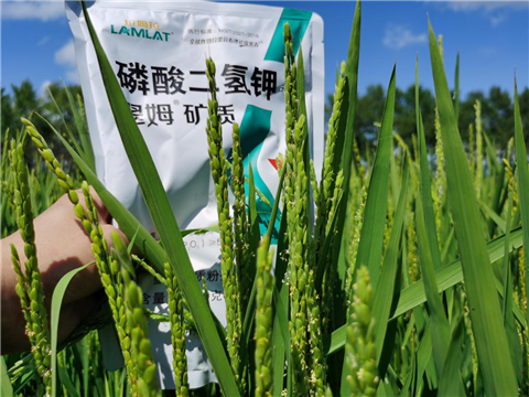 水溶肥，磷酸二氫鉀
