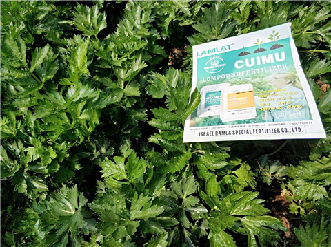 高鉀水溶肥，磷酸二氫鉀，拉姆拉，翠姆