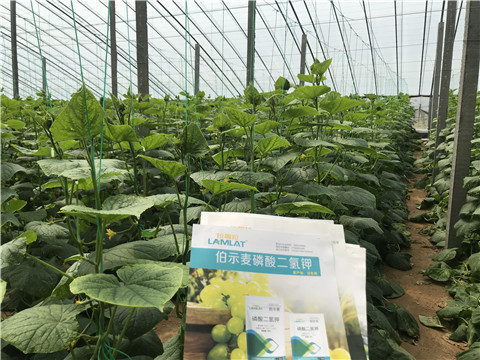 水溶肥，拉姆拉