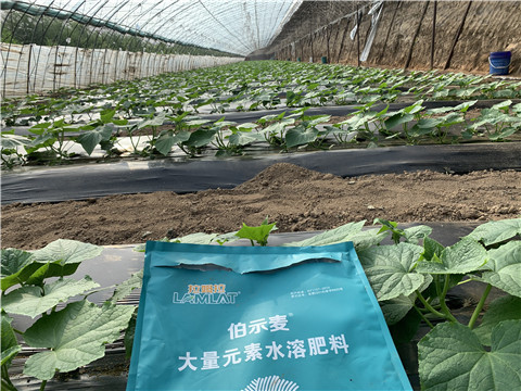 水溶肥，拉姆拉