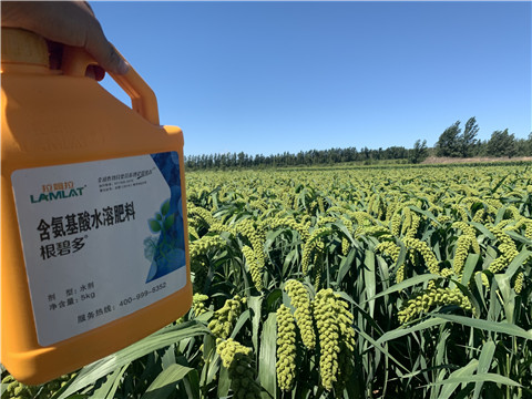 磷酸二氫鉀，拉姆拉，翠姆