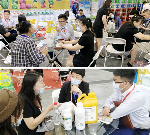 植保會(huì)，拉姆拉，翠姆