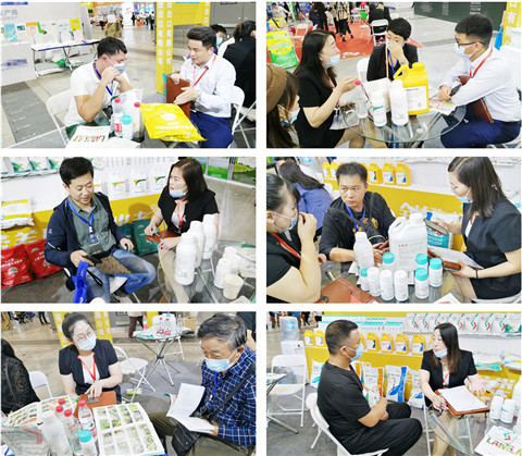 植保會(huì)，拉姆拉，翠姆