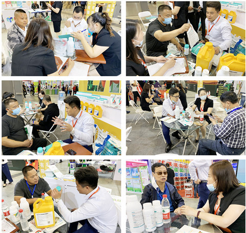 植保會(huì)，拉姆拉，翠姆