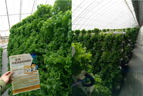 水溶肥，拉姆拉，翠姆