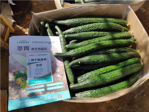 葉面肥，安碧解，除草劑藥害