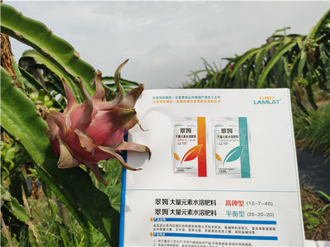 進(jìn)口水溶肥，拉姆拉，翠姆