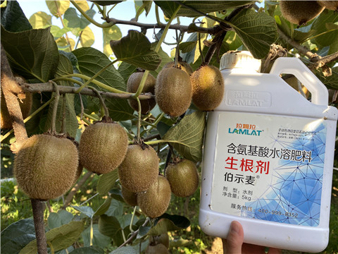 水溶肥，拉姆拉