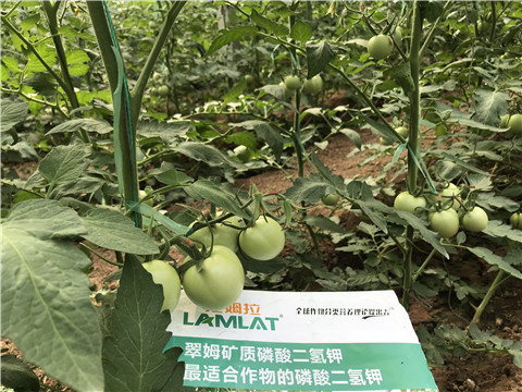 磷酸二氫鉀，拉姆拉，翠姆