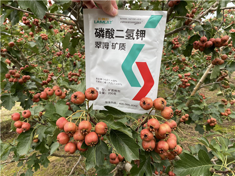 磷酸二氫鉀，拉姆拉，翠姆